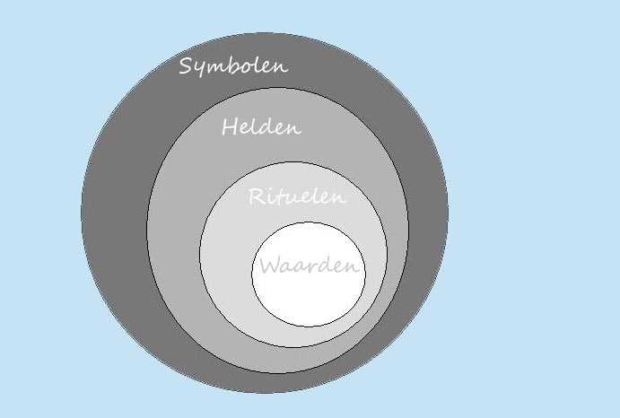 Het ui-model van Sanders en Neuijen